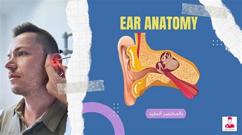بين تسمية الأوقات المحددة للحصول على الإذن مع الأخطاء الثلاثة؟