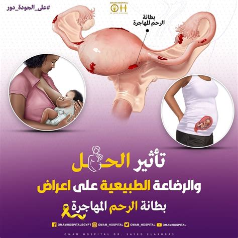 تأثير الفلوبينثيكسول على الحمل والرضاعة