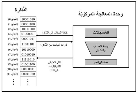 تؤدي الذاكرة في دورة الاسترجاع والتنفيذ تؤدي الذاكرة في دورة الاسترجاع والتنفيذ