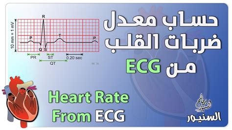 تتضمن طرق حساب معدل ضربات القلب الهدف شرح طريقة النبض الشعاعي وشرح طريقة النبض السباتي