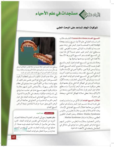 تجربة لمعرفة ما إذا كان السهم يفضل بيئة مشرقة أم بيئة مظلمة؟