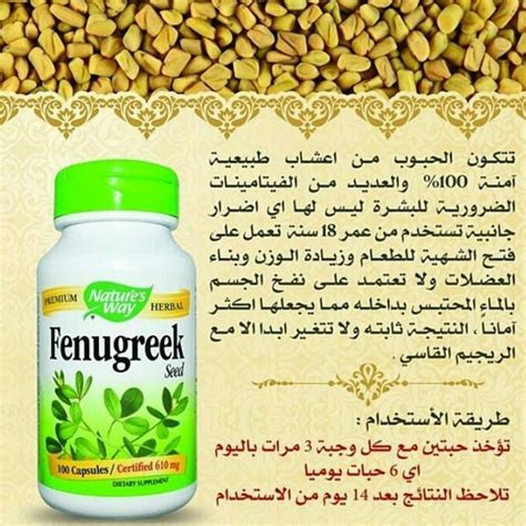تجربتي في استخدام حبوب الحلبة للتسمين