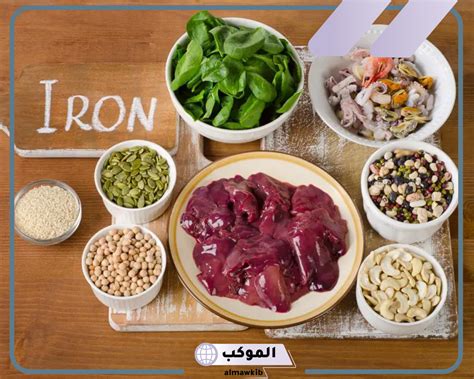 تجربتي في تربية إمدادات الحديد عالم حواء