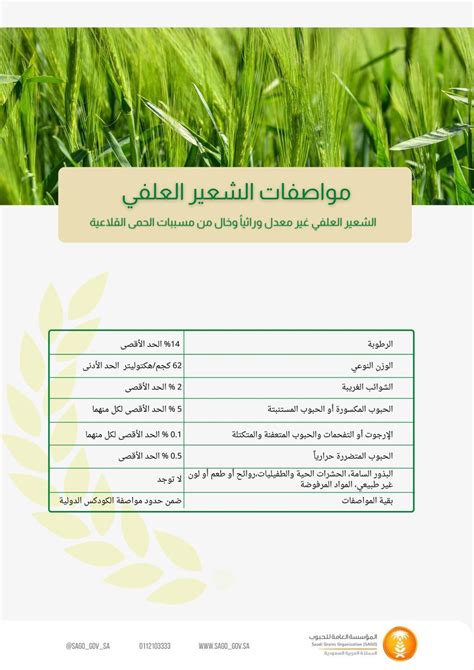تحذيرات أو ضرر للقمح والشعير تحذيرات أو ضرر للقمح والشعير