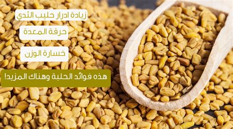 تحذيرات متعلقة بأخذ الحلبة