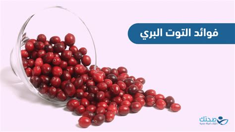 تحذيرات من التوت البري على الكلى