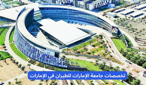 تخصصات ومنح جامعة الإمارات التي تقدمها الجامعة لطلاب البكالوريوس