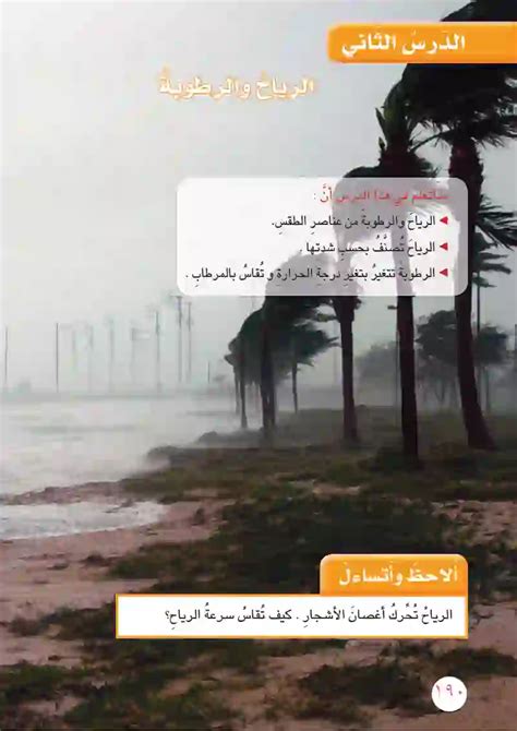 تدفع الريح الأشجار وتحركها. ماذا يحدث لهذه الأشجار عندما تشتد الرياح؟ تدفع الريح الأشجار وتحركها. ماذا يحدث لهذه الأشجار عندما تشتد الرياح؟