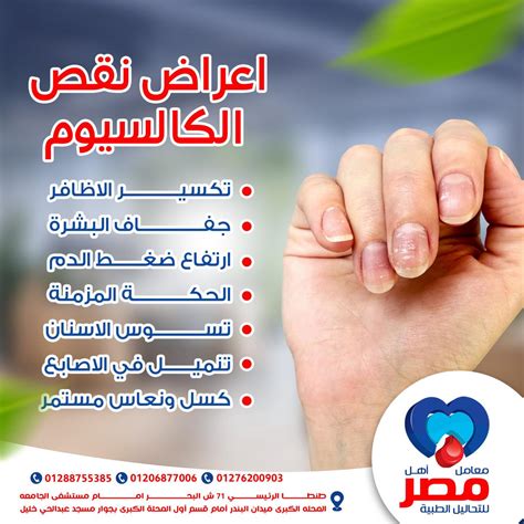 تساهم هذه المعادن والفيتامينات في العديد من الوظائف المهمة، منها: