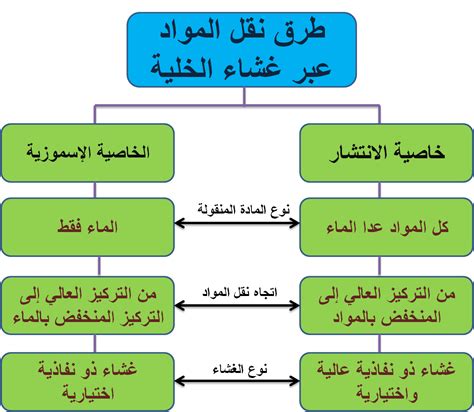 تسمى العملية التي تنتقل بها المواد من منطقة عالية التركيز إلى منطقة ذات تركيز منخفض والتي تتطلب طاقة لحدوثها