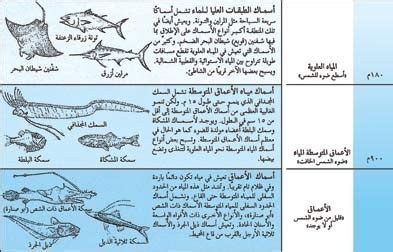 تشبه الأسماك التي تعيش في البيئة المائية العذبة الأسماك التي تعيش في البيئة المائية البحرية من حيث أن الأسماك لها نفس التكوين، صحيح أو خطأ. تشبه الأسماك التي تعيش في البيئة المائية العذبة الأسماك التي تعيش في البيئة المائية البحرية من حيث أن الأسماك لها نفس التكوين، صحيح أو خطأ.