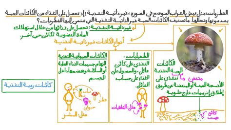 تصنيف القطط المنزلية على أنها ذاتية التغذية أو غير ذاتية التغذية