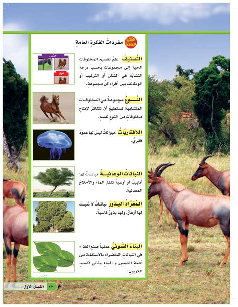 تصنيف مخلوق تم اكتشافه حديثًا لديه القدرة على التمثيل الضوئي، ولديه خلايا لا تحتوي عضياتها على غشاء ولا تحتوي على ببتيدوغليكان؟