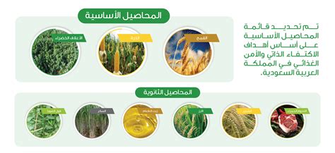 تعتبر التمور من أهم المحاصيل بالنسبة لدول مجلس التعاون الخليجي