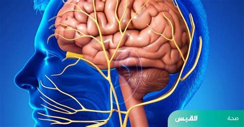 تعرف على أسباب اضطرابات العصب المبهم ونوبات الإغماء