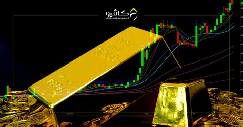 تغذية طفيليات رؤوس الأسهم