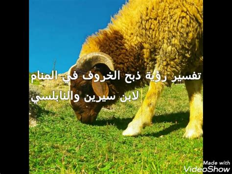 تفسير أحلام ذبح شاة في المنام لامرأة عزباء