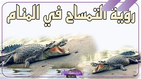 تفسير ابن سيرين لذبح البعير في المنام للمتزوجة والحوامل والمطلقة