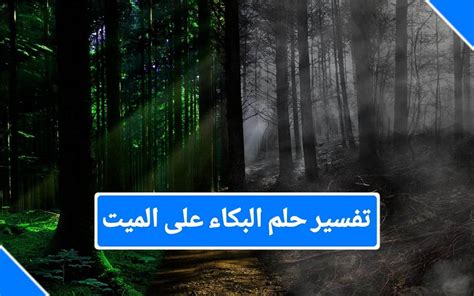 تفسير الأحلام عن وفاة أحد أفراد أسرته والبكاء عليه من أجل امرأة حامل