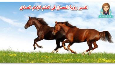 تفسير الحصان في المنام للإمام الصادق لشاب أعزب تفسير الحصان في المنام للإمام الصادق لشاب أعزب