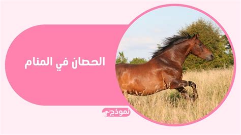 تفسير الحصان في المنام للإمام الصادق للرجل تفسير الحصان في المنام للإمام الصادق للرجل