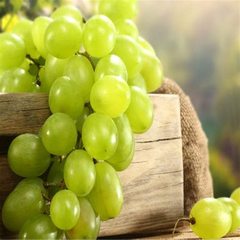 تفسير حلم أكل العنب الأخضر في حلم المرأة الحامل
