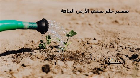 تفسير حلم الحياة الجافة في المنام لفتاة واحدة
