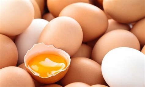 تفسير حلم الدجاجة التي تضع البيض للرجل ومعناه