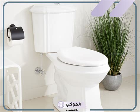 تفسير حلم المرحاض القذر في المنام لفتاة واحدة