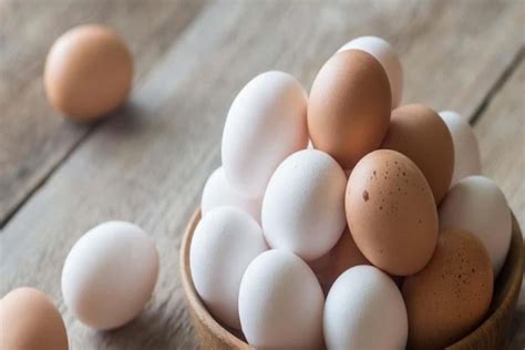تفسير حلم جمع الكثير من البيض للمرأة الحامل أثناء الحلم