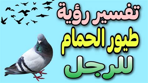 تفسير رؤية أحذية رياضية بيضاء في المنام للرجل ومعناها