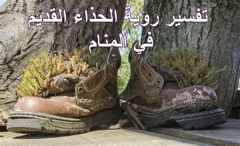 تفسير رؤية الأحذية في المنام لابن سيرين