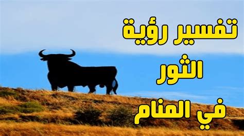 تفسير رؤية الثور في الحلم تفسير رؤية الثور في الحلم