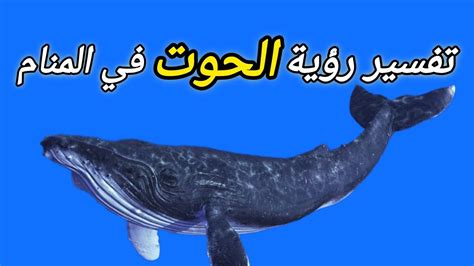تفسير رؤية الحوت في المنام لامرأة عزباء وامرأة متزوجة وحامل ورجل