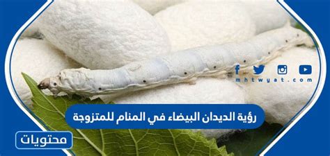 تفسير رؤية الديدان البيضاء في المنام للمرأة العازبة