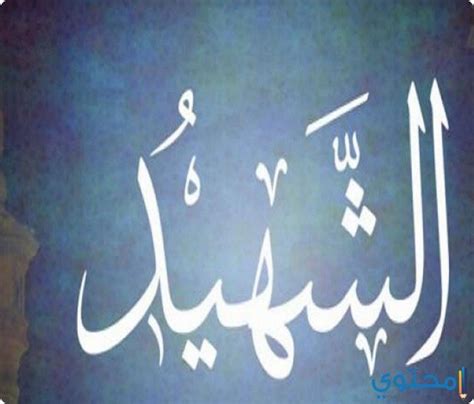 تفسير رؤية الشهيد في المنام عند الإمام الصادق تفسير رؤية الشهيد في المنام عند الإمام الصادق