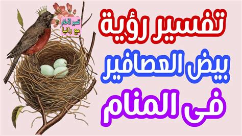 تفسير رؤية العصافير أو العصافير في المنام لابن سيرين - موقع مصري تفسير رؤية العصافير أو العصافير في المنام لابن سيرين - موقع مصري
