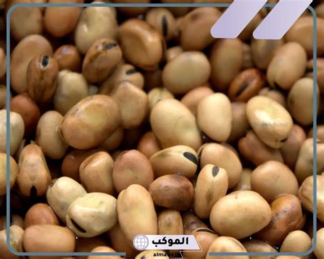 تفسير رؤية الفول العريض لابن سيرين في المنام للشباب ومعناها