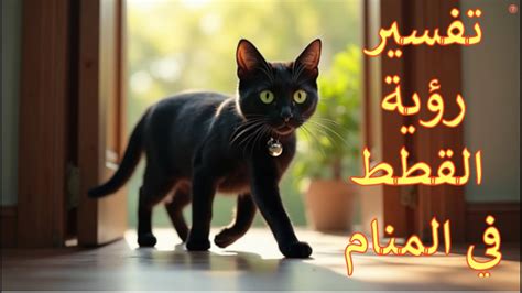 تفسير رؤية القطط تخرج من المنزل في حلم لامرأة متزوجة