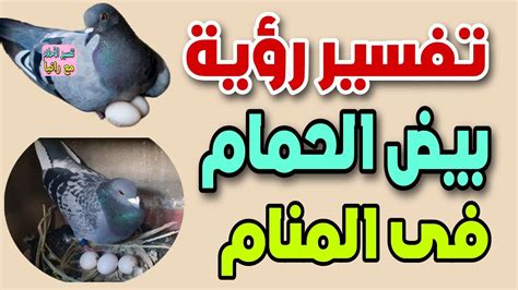 تفسير رؤية بيض الحمام في المنام للمرأة العازبة