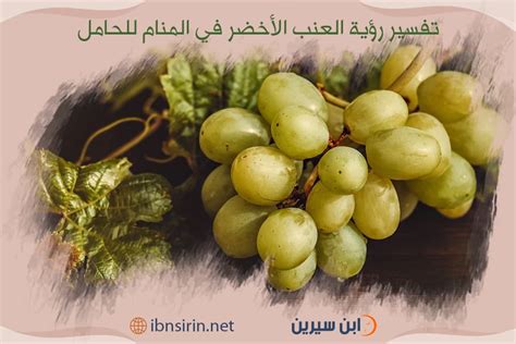 تفسير رؤية حلم أوراق العنب الخضراء في المنام لفتاة واحدة
