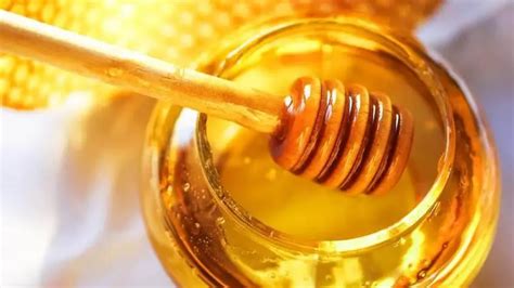 تفسير لعق وأكل وشراء وبيع العسل في المنام للشباب ومعناه