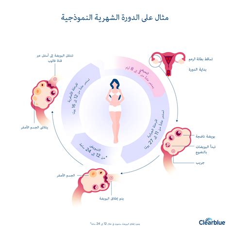 تفسير وتفسير رؤية الدورة الشهرية في حلم المرأة الحامل