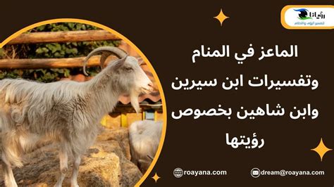 تفسيرات أخرى لولادة الماعز في المنام للإمام ابن سيرين