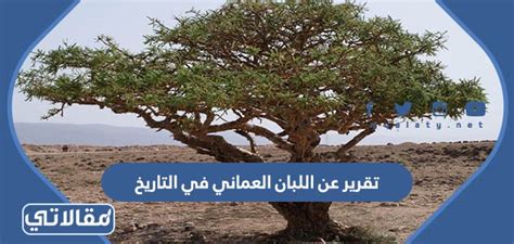تقرير عن البخور العماني في التاريخ جاهز للطباعة doc