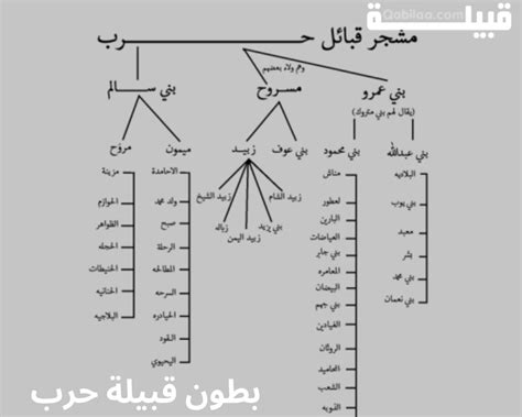 تكملة الجمل هي مثل فروع شجرة، تختلف في الشكل وتتوافق مع ارتباطها