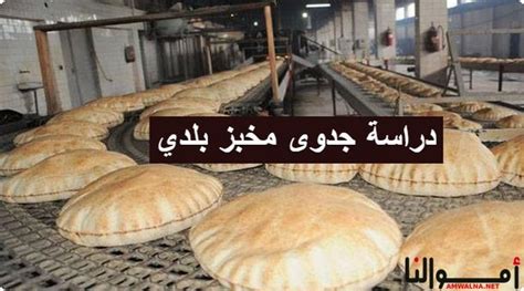 تمتلك صفاء مخبزًا يسمى مخبز صفاء وقررت مؤخرًا إنشاء منصة توضيحية.