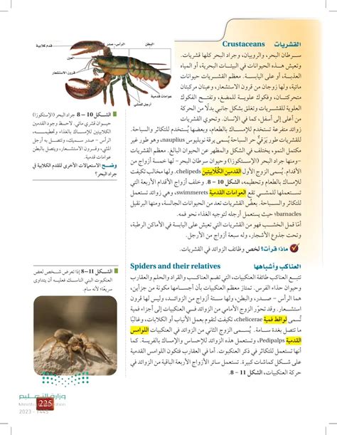 تنتمي القراد والعث والعقارب إلى فئة العناكب، هل يمكنك وصف خصائص هذه الطاقة التي تظهر في هذه الصور؟