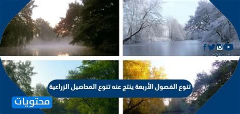 تنوع الفصول الأربعة يؤدي إلى تنوع المحاصيل الزراعية تنوع الفصول الأربعة يؤدي إلى تنوع المحاصيل الزراعية
