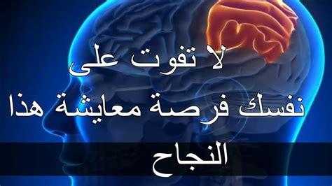 توصل إلى استنتاج حول الذاكرة طويلة المدى لهذه الطيور